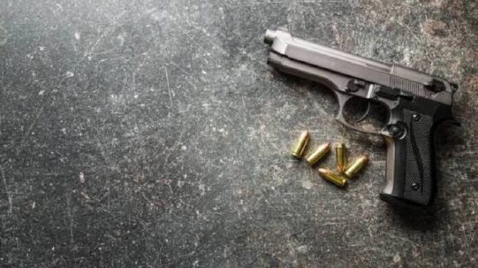 Man Arrested with Pistol, Live Ammunition in Nagaon