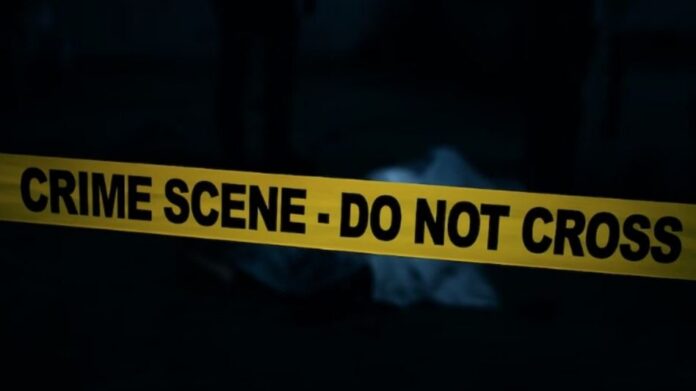 Man Kills Brother-in-Law, Critically Injures Another in Biswanath
