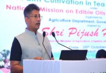 Assam Allows Oil Palm Cultivation on 5% of Unused Tea Garden Land Assam Allows Oil Palm Cultivation on 5% of Unused Tea Garden Land