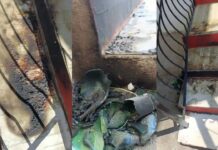 Petrol bomb attack at Shillong ED office sparks fresh security concerns Petrol bomb attack at Shillong ED office sparks fresh security concerns