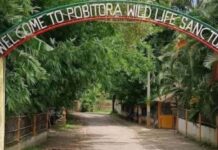 Pobitora Wildlife Sanctuary Welcomes Visitors for New Tourism Season
