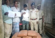 Tripura Police Seize Cannabis Worth Rs 50 Lakh, Arrest Driver in North Tripura